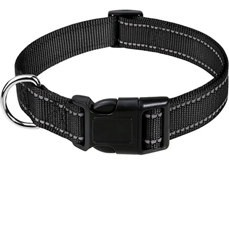 Classic Everyday Dog Collar