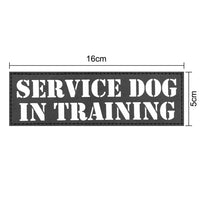 Service Dog in Training