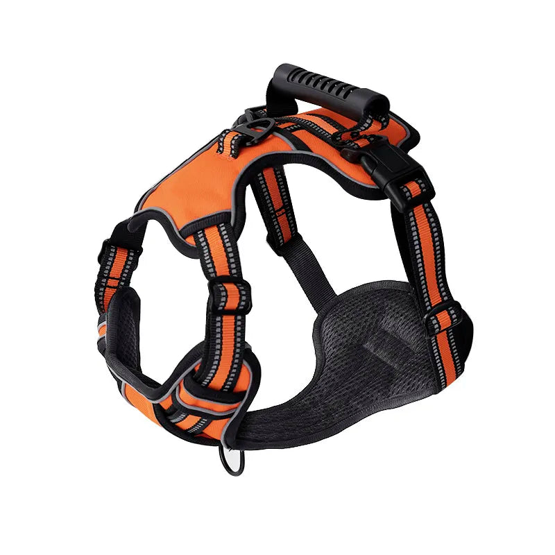 Performance No-Pull Reflective Harness
