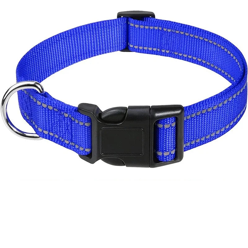Classic Everyday Dog Collar