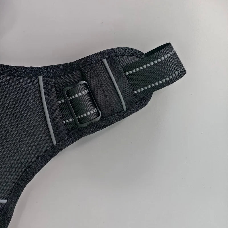 Reflective No-Pull Harness