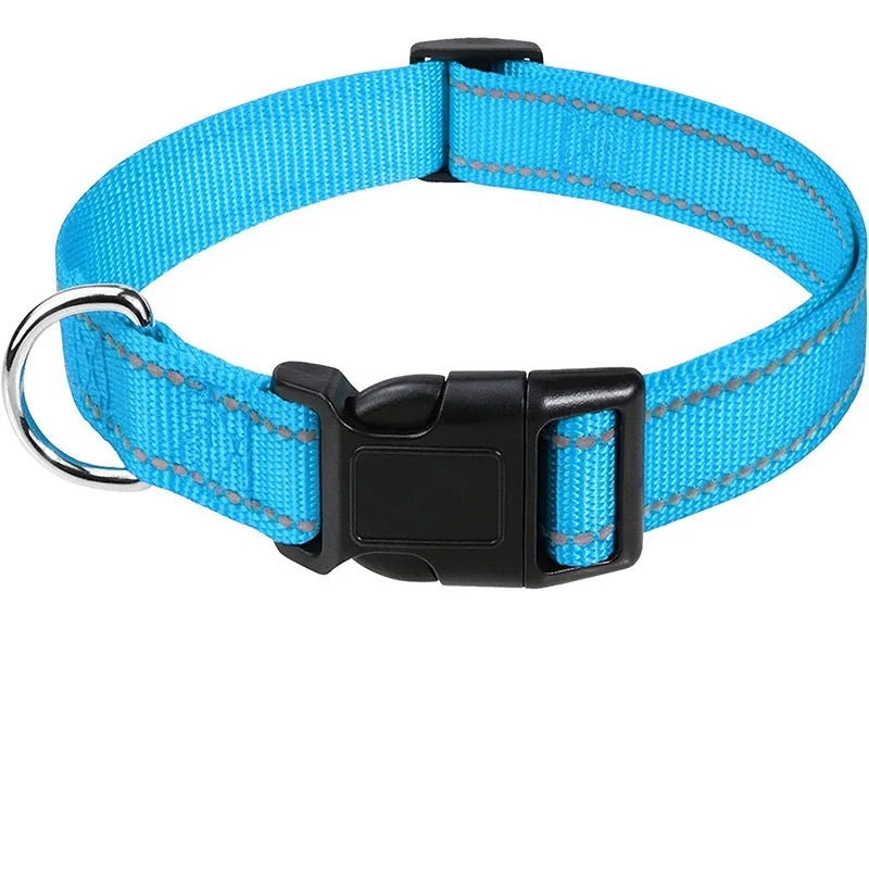 Classic Everyday Dog Collar