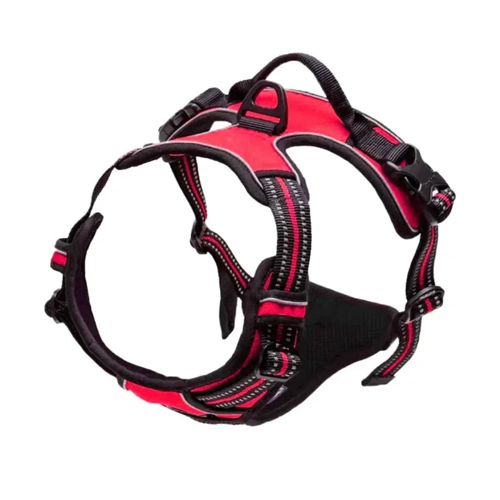 Reflective No-Pull Harness
