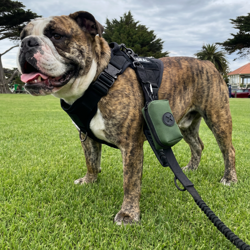 Dog Poop Bag Holder with Clip
