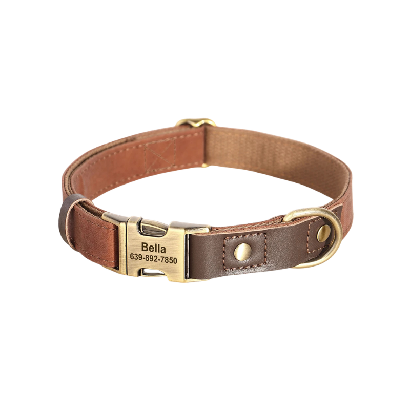 Personalised Dog Collar with Engraved Nameplate