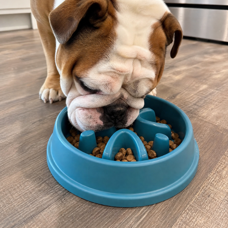 Slow Feeding Dog Bowl Non-Slip Design