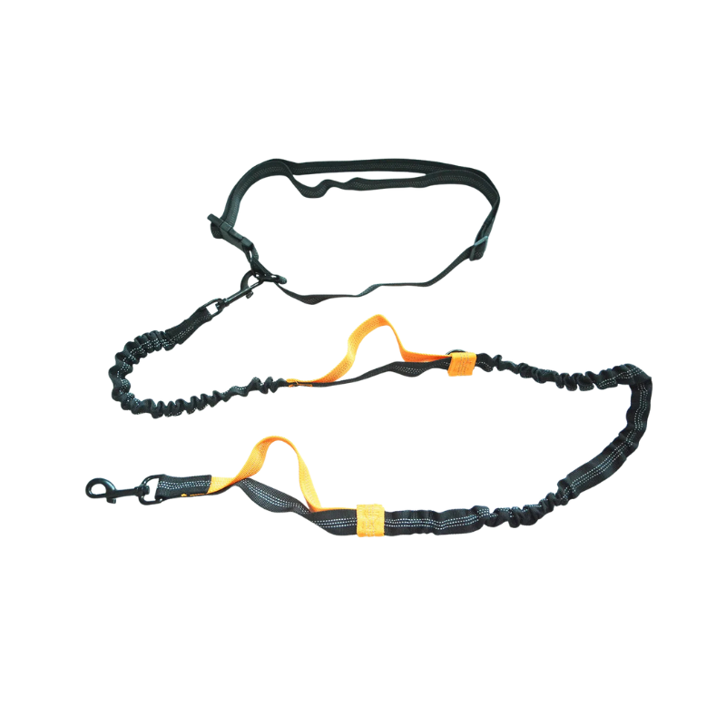Hands-Free Bungee Dog Lead with Reflective Trim