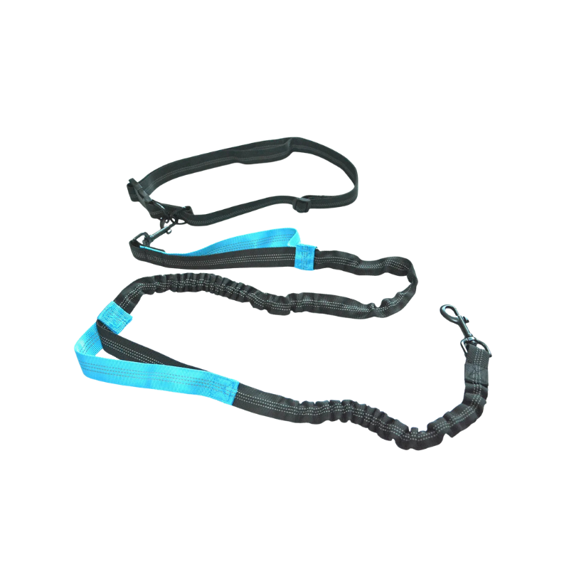Hands-Free Bungee Dog Lead with Reflective Trim