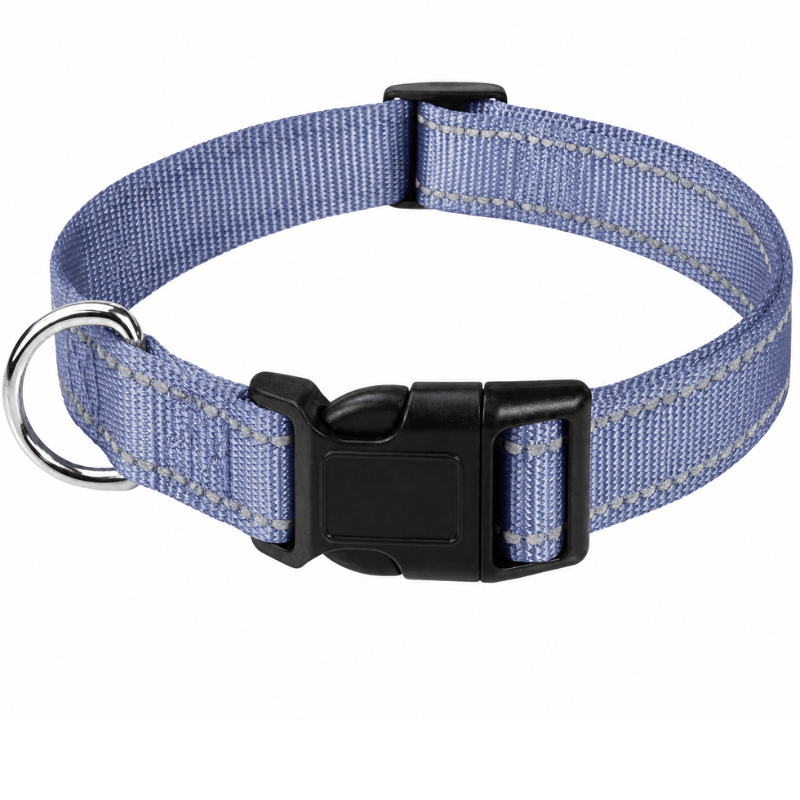Classic Everyday Dog Collar