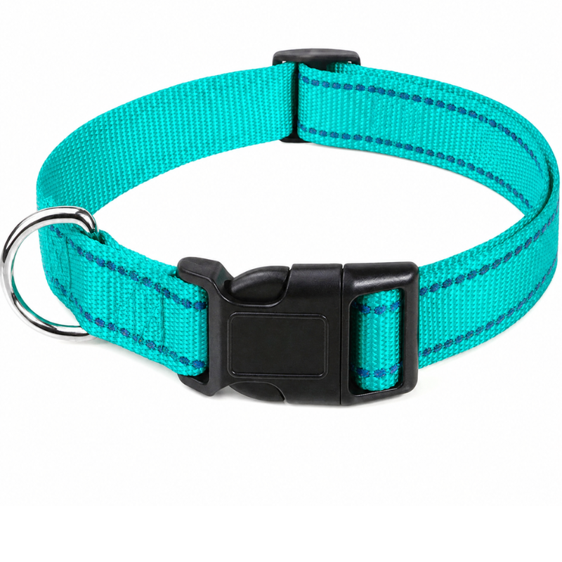 Classic Everyday Dog Collar