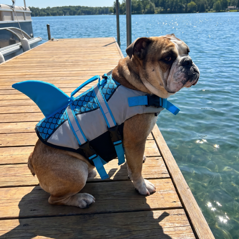 Shark Fin Dog Life Jacket Swim Vest