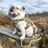 Heavy-Duty Harness
