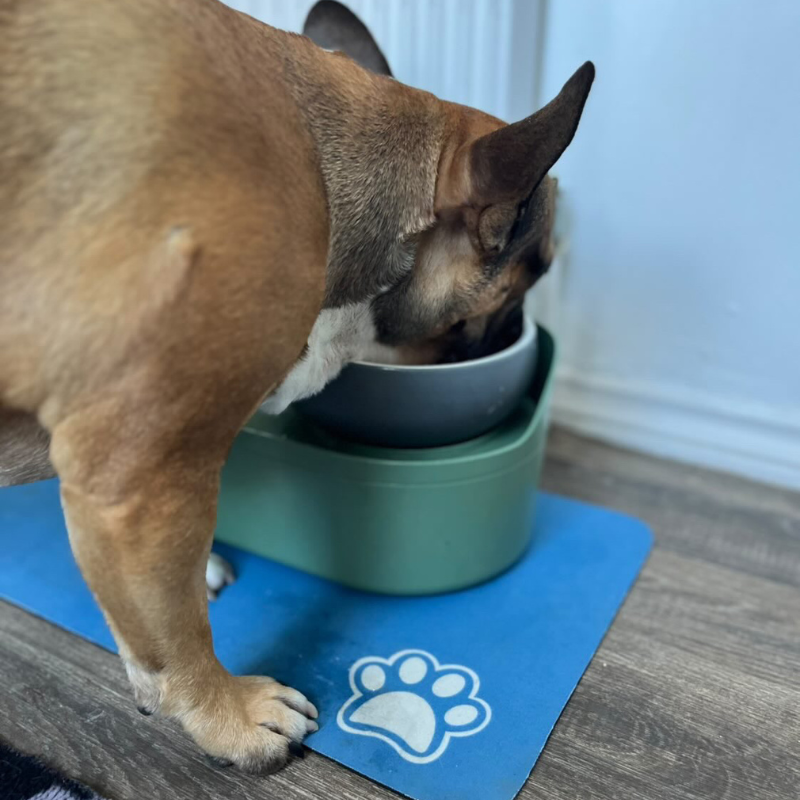 Quick Dry Absorbent Dog Feeding Mat