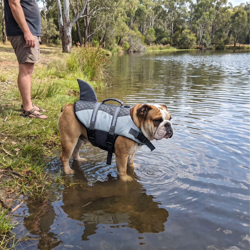 Shark Fin Dog Life Jacket Swim Vest
