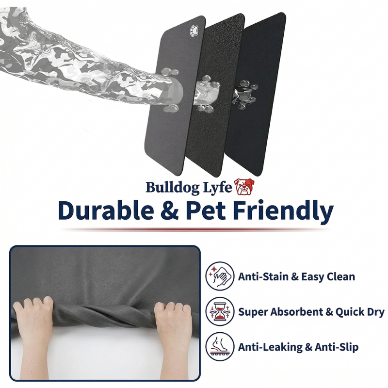 Quick Dry Absorbent Dog Feeding Mat