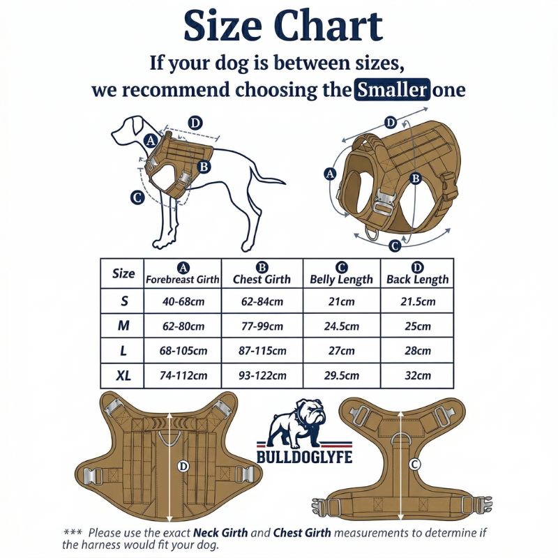 Heavy-Duty Harness Vest