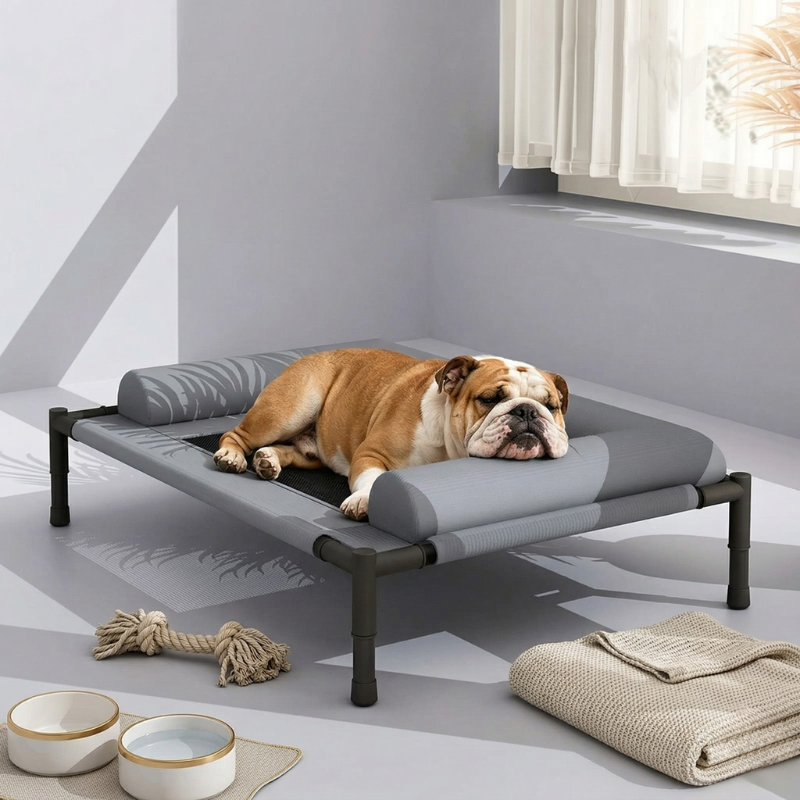 Raised Breathable Dog Bed with Removable Cushion