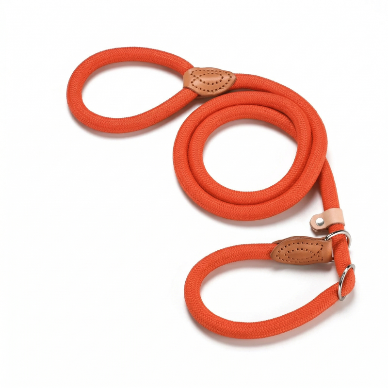 Braided Slip Rope Dog Lead
