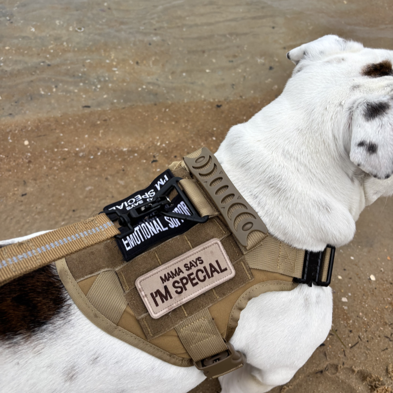 Personalized Harness Patch